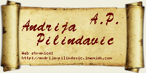 Andrija Pilindavić vizit kartica